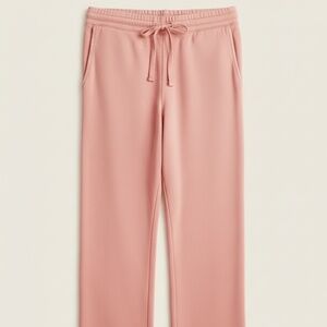 J Crew Magic Rinse Wide Leg Pant
